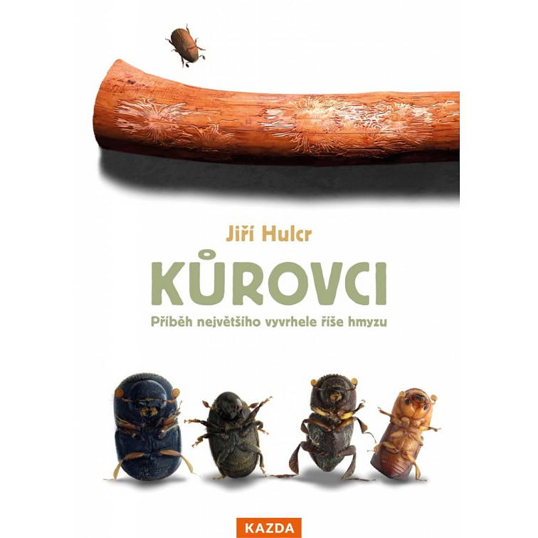 Kůrovci